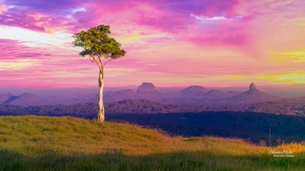 One Tree Hill, Melany, Queensland Australia.