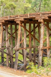 Portrait composition of disused Rail Bridge near Pemberton, Western Australia.