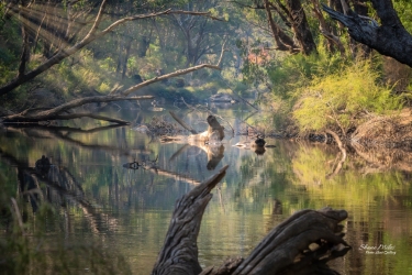 Isand Pool, Lane Poole Reserve, Western Australia.