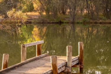 Jetty in the morning glow,  Goegrup Lake Nature Reserve, Western Australia.