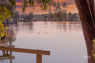 Sunrise at Goegrup Lake Nature Reserve, Western Australia.