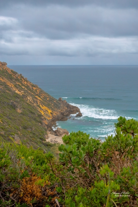 Looking back along Salmon Beach, near Windy Harbor, Western Australia.