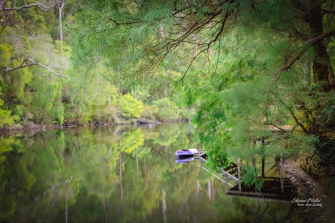 The view from the rivers edge beside campsite, South West, Western Australia.