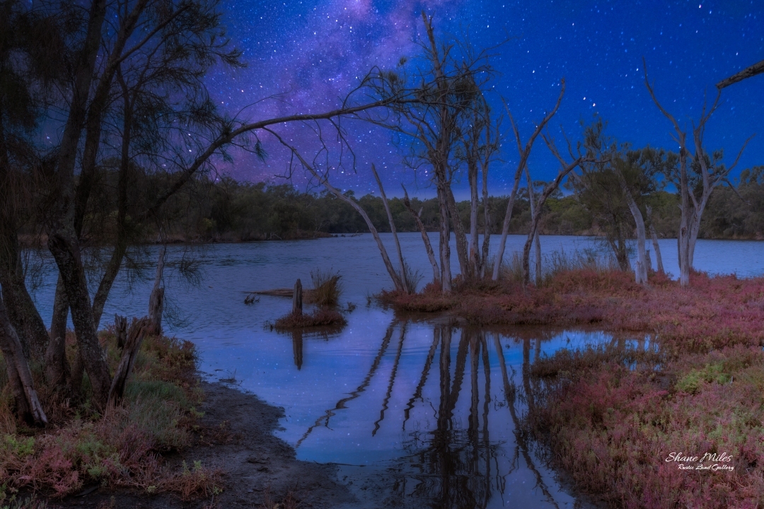 The lake at night.