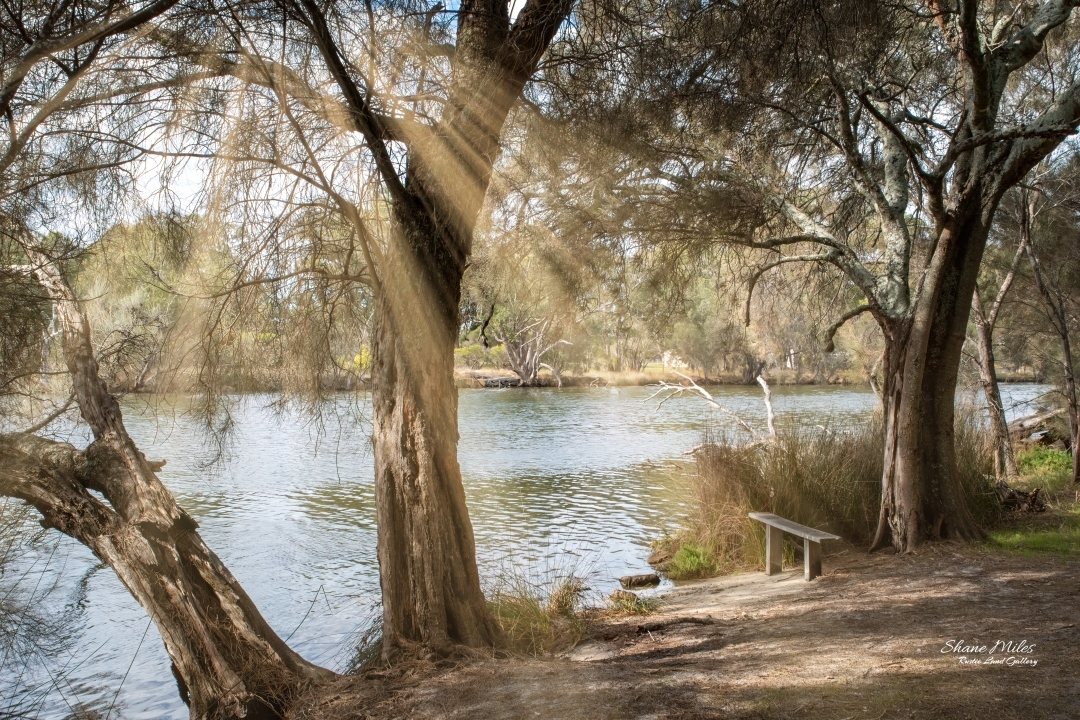 A Walk by the lake