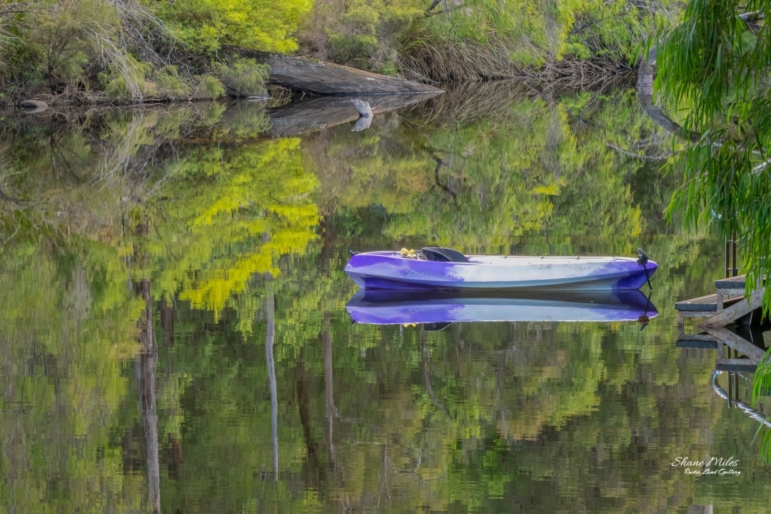 Rivers edge beside campsite, South West, Western Australia.