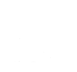Rustic Land Gallery